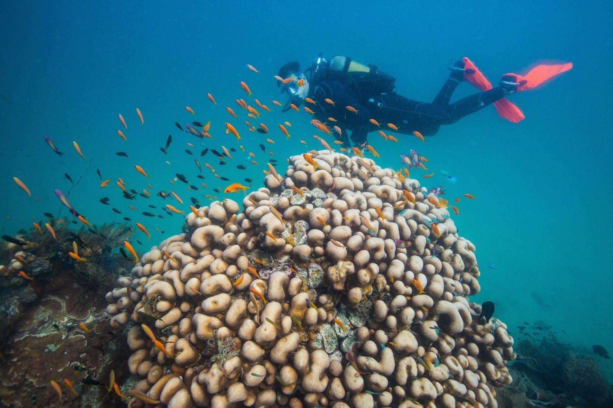 ホテルAzura Quilalea Island エクステリア 写真