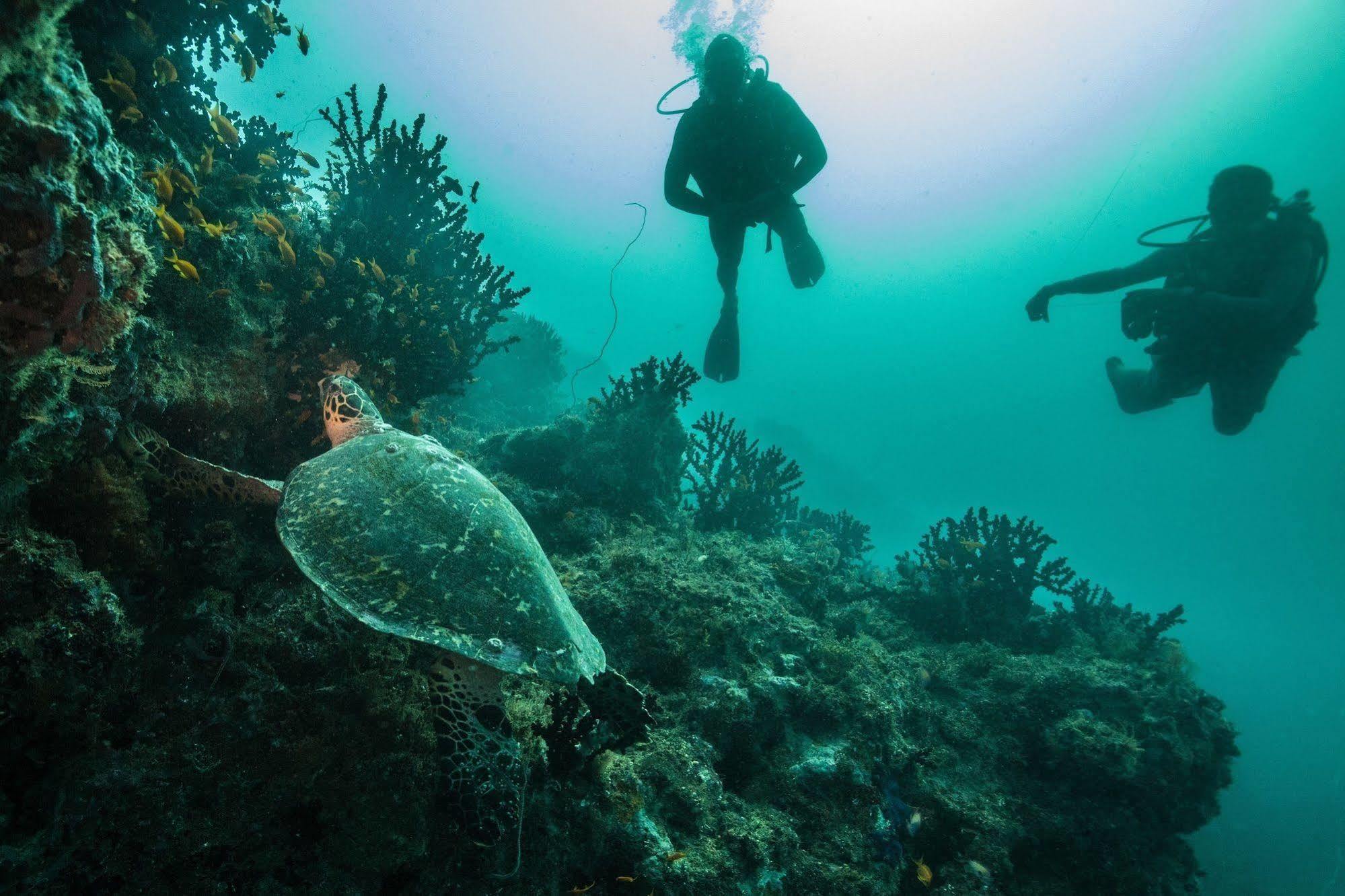 ホテルAzura Quilalea Island エクステリア 写真
