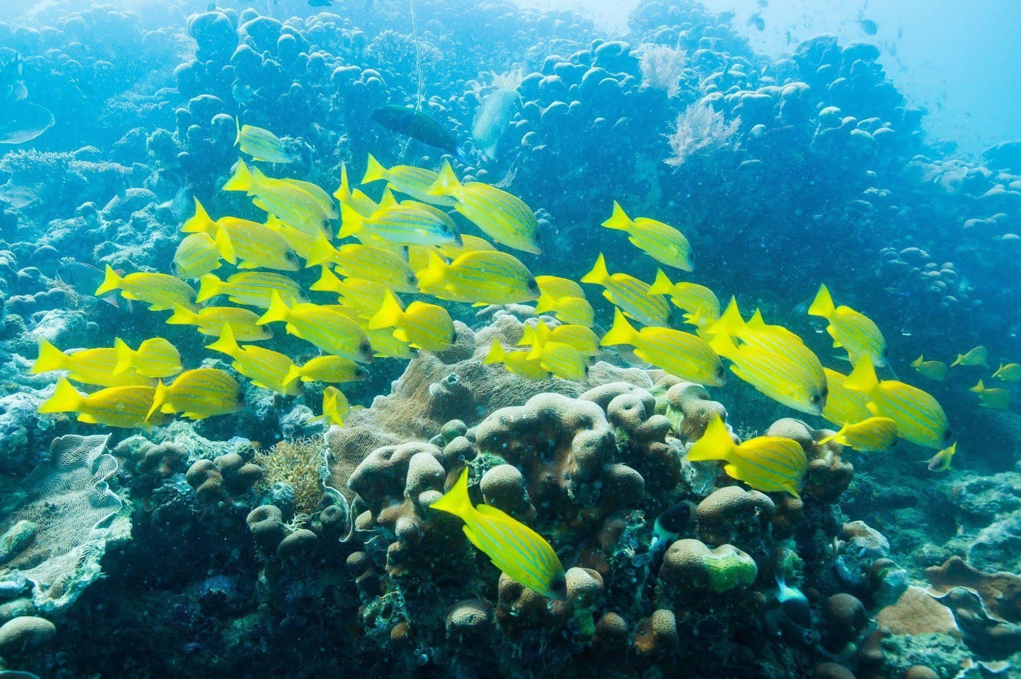 ホテルAzura Quilalea Island エクステリア 写真